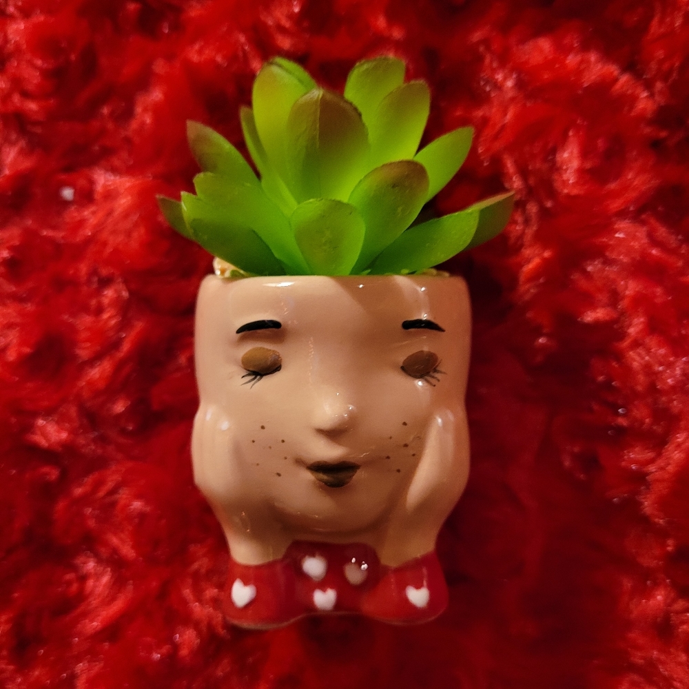Kohl's Celebrate Together™ Valentine's Day Artificial Succulent Planter 3-pieces - Picture 10 of 16